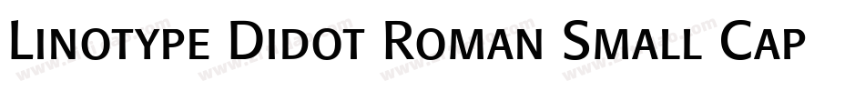 Linotype Didot Roman Small Caps & Oldstyle Figures字体转换